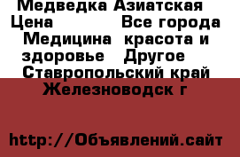 Медведка Азиатская › Цена ­ 1 800 - Все города Медицина, красота и здоровье » Другое   . Ставропольский край,Железноводск г.